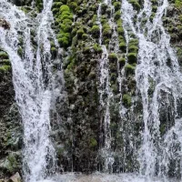 تور