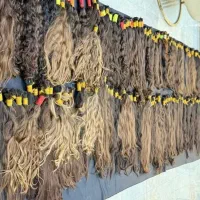 خریدموی طبیعی خریداراصلی