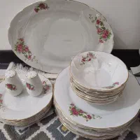 سرویس گل سرخی وفنجان فرانسه