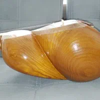 تار سر پنجه طاووسی