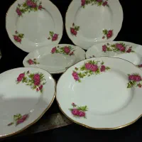 بشقاب میوه خوری،پلوخوری