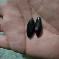 مهره اصل اصل