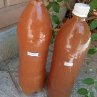 فروش سرکه کوج و آبغوره