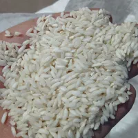 برنج یکدست و مرغوب چمپا خوزستان