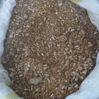 سبوس /گندمک