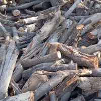 خرید فروش چوب|خدمات باغبانی و درختکاری|مراغه, |دیوار