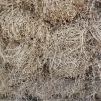 یونجه چین دوم و سوم