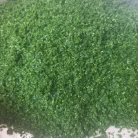 انواع سبزی جات پذیرفته میشود