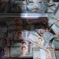 تعدادی اسکناس
