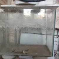 اکواریوم