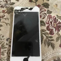 اپل۶ گلد