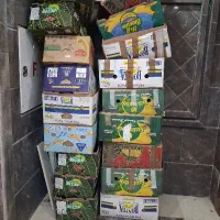 فروش کارتون موز