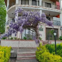 جابکسر بلوار سرولات