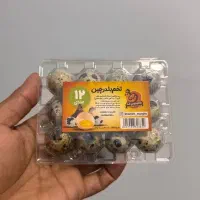تخم بلدرچین تازه بسته بندی شده