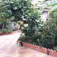 ویلایی-نقلی-خوش-قیمت