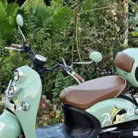 Ms150