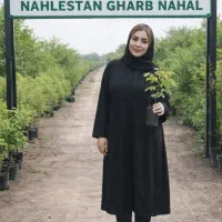 فروش نهال پسته توت تمشک گردو گیلاس البالو گوجه سبز