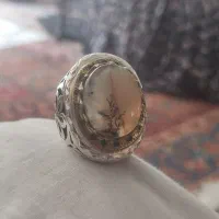 شجر تک درخت روزگاری