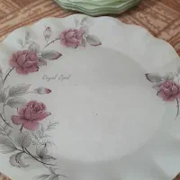 ظروف آرکوپال شش عدد میوه خوری وبشقاب بزرگ