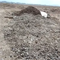 فروش کود مرغی قفسی و گاوی