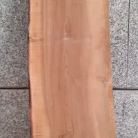 تخته چوب برش خورده تنه درخت