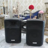 خواننده،دیجی،نوازنده