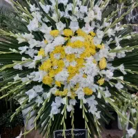 تاج گل|خدمات پذیرایی، مراسم|شیراز, دارالرحمه|دیوار