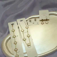 اکسسوری وبدلیجات