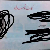مدارک گم کردم بنام چوپانی