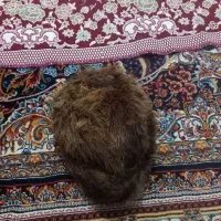 چکمه|کیف، کفش، کمربند|مشهد, طبرسی شمالی|دیوار