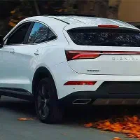 راننده و همراه شما با خودرو vip شاسی شخصی دراختیار