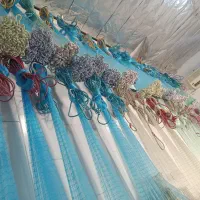 فروشگاه ماهیگیری کازرون