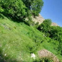 ویلاباغ ۳۵۰۰متردرنوده چناران