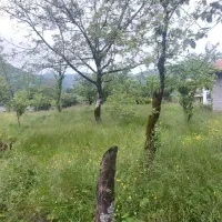 ۴۰۰متر زمین مسکونی مستثنیات سیاهبیل