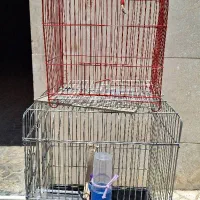 قفس پرنده