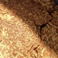 تنباکو برازجان