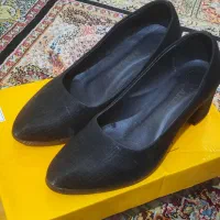 کفش مجلسی