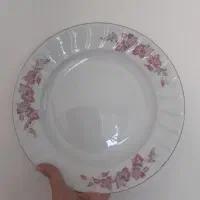 ظروف چینی زرین
