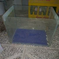 آکواریوم