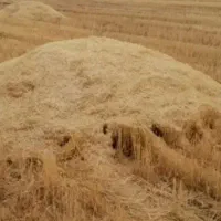 ۲۰ انبار کاه