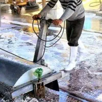 قالیشویی گل سرخ