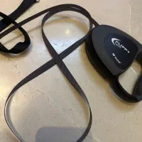 قلاده سگ‌|لوازم جانبی حیوانات|تهران, اقدسیه|دیوار