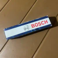 شمع بوش