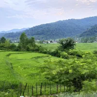آبشار،کوه،طبیعت
