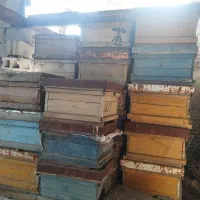 کندو خالی وطبق زنبور داری