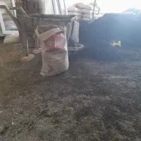 دنبال کارهستم کارساختمان.نظافت