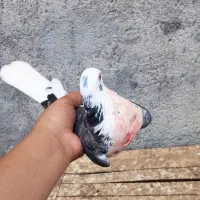 سه عددکبوتر
