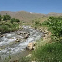 تور ونایی بروجرد