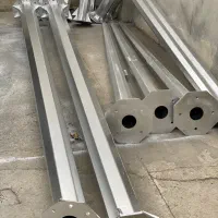 نیروی کار ساده اتباع