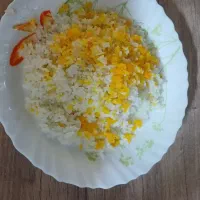 برنج فجر گرگان